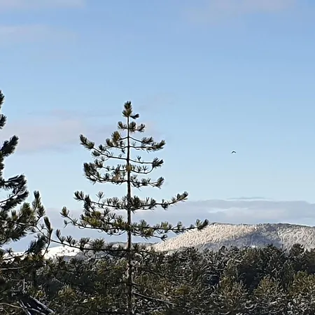 Berolina 아파트 *